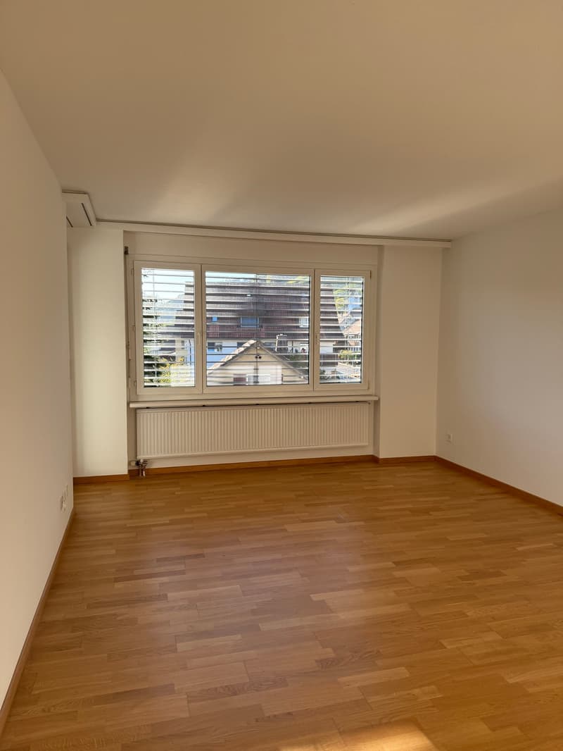 Erstvermietung nach Sanierung – grosszügige 4.5-Zimmer-Wohnung mit Balkon (16)