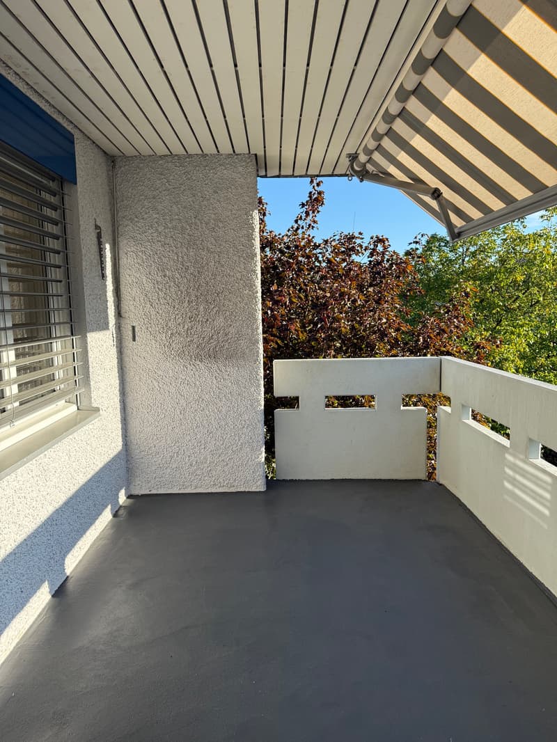 Erstvermietung nach Sanierung – grosszügige 4.5-Zimmer-Wohnung mit Balkon (9)