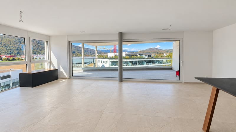Exklusive 4.5-Zimmer-Terrassenwohnung mit Weitsicht und ultraluxuriösem Ausbau (15)