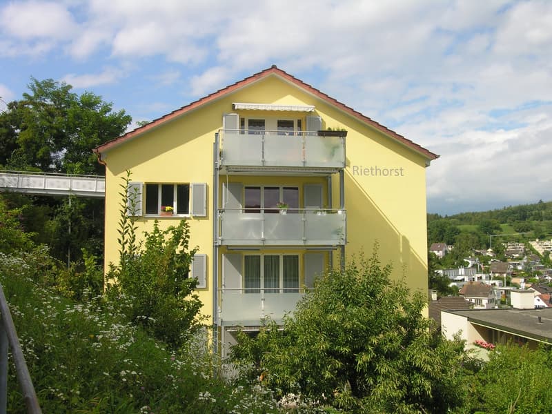 2 Zimmer Dachwohnung in Schaffhausen (2)