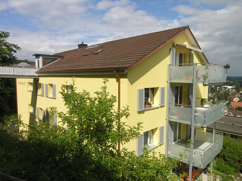 2 Zimmer Dachwohnung in Schaffhausen (1)