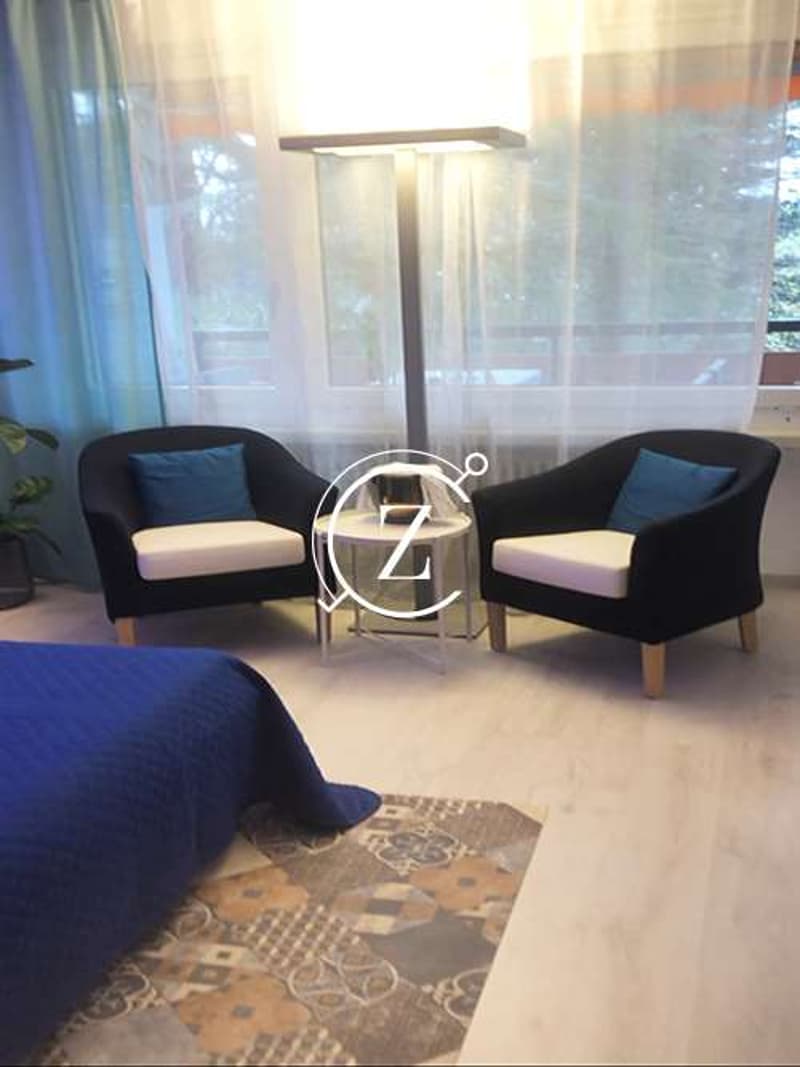Appartement de vacances 2.5 pièces directement sur le lac à Bissone (5)