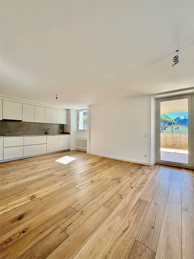 New 3.5-room apartment in Gambarogno (2)