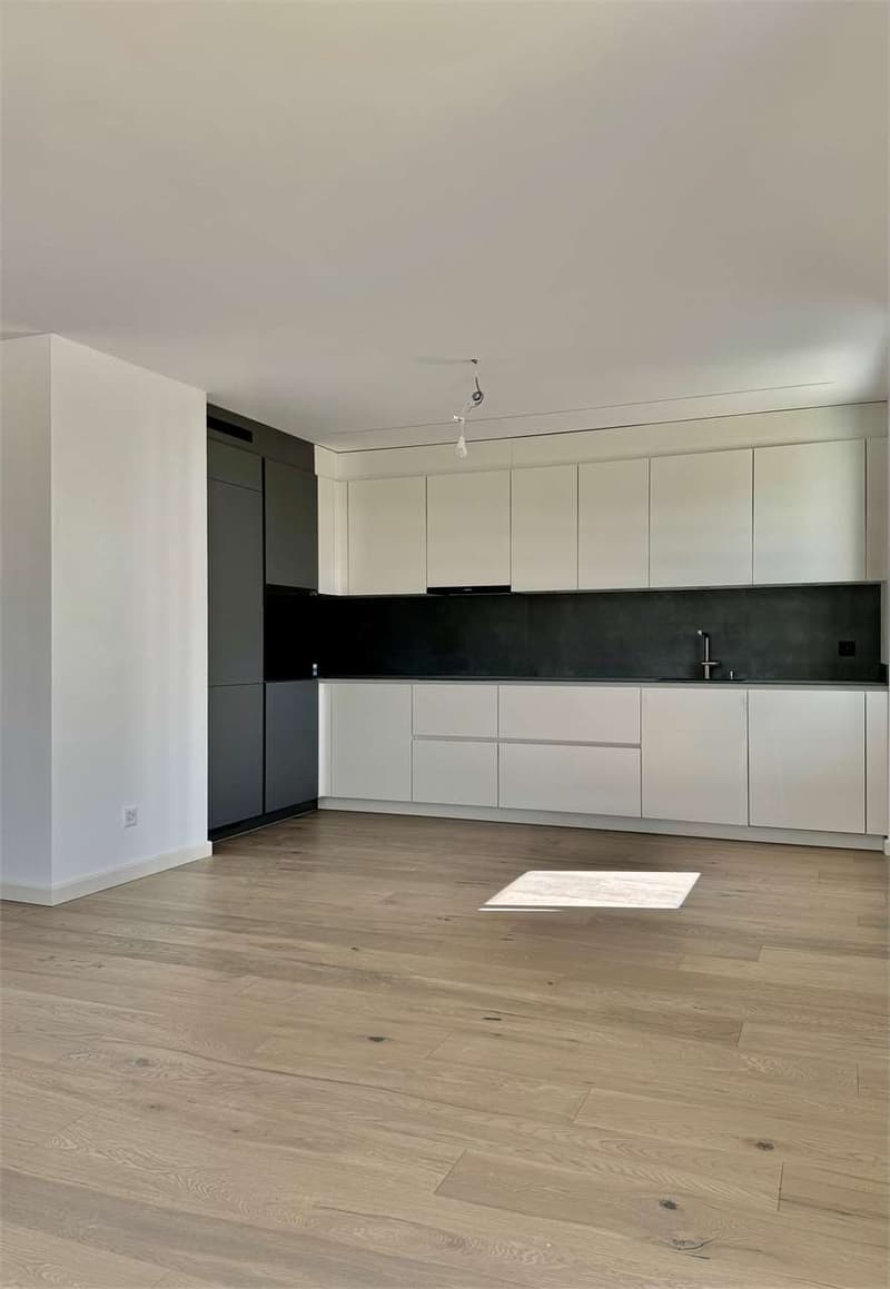 Nouvel appartement 3.5 pièces à Gambarogno (4)