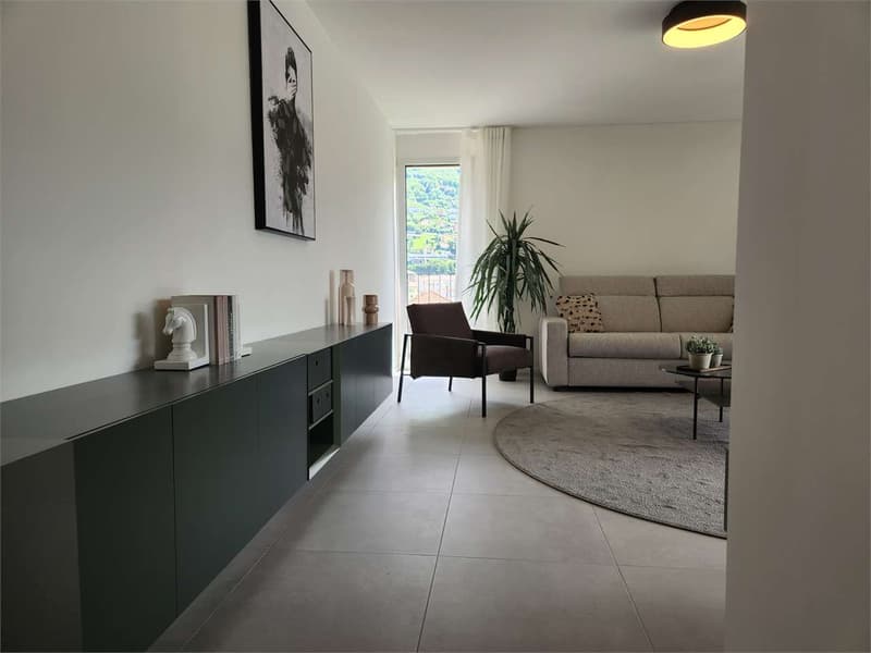 Bellinzona - Modern 3.5-room apartment on the ground floor with exclusive garden (9)