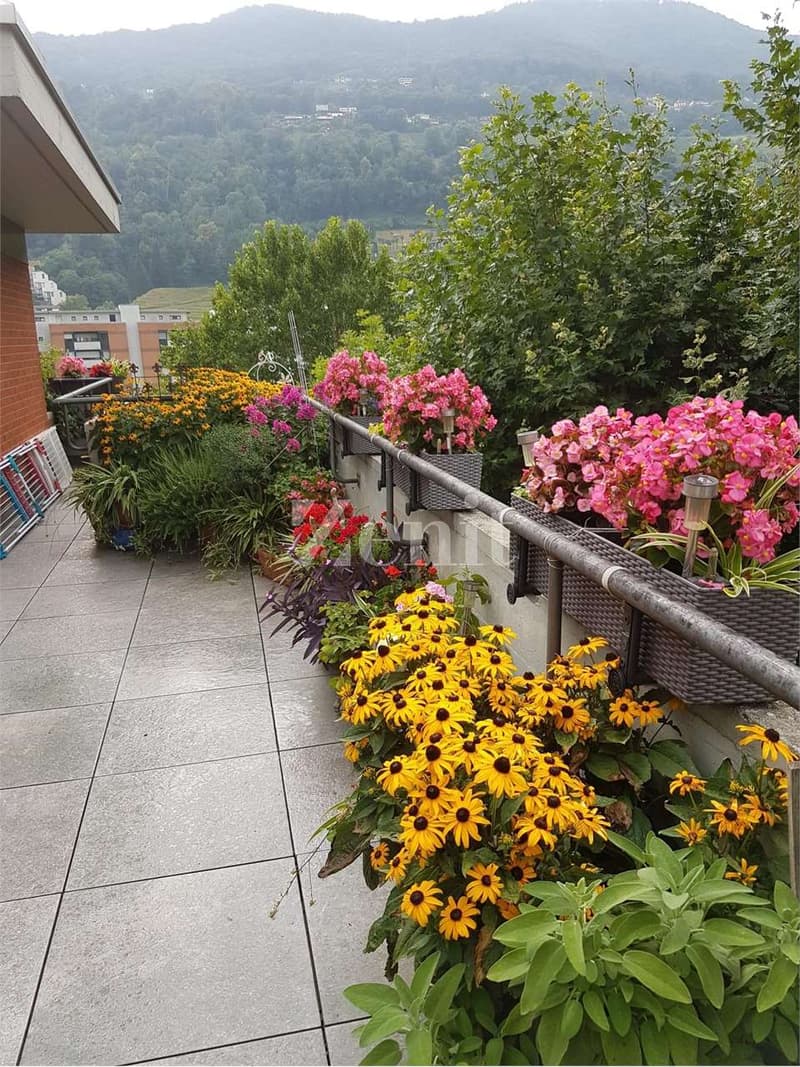 Elegante Attico con Giardino d'Inverno e terrazza (5)