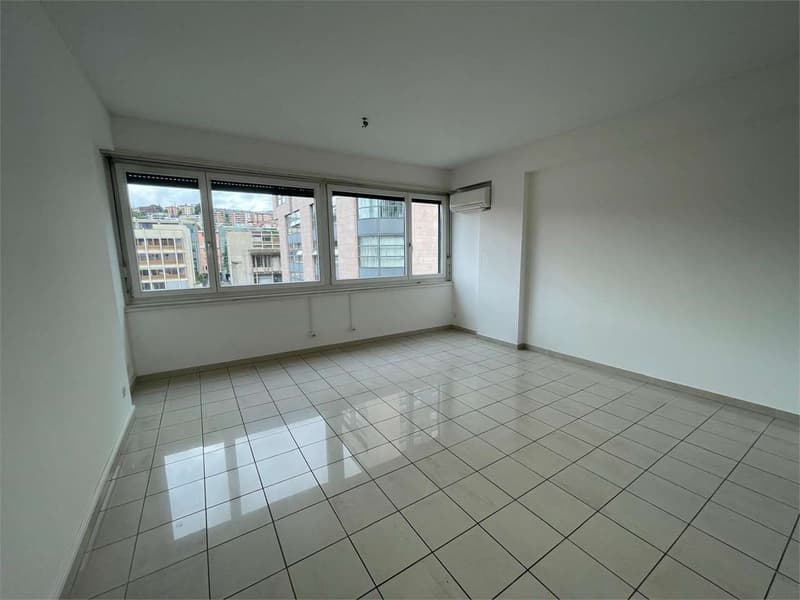 We rent commercial space in Lugano Center (6)