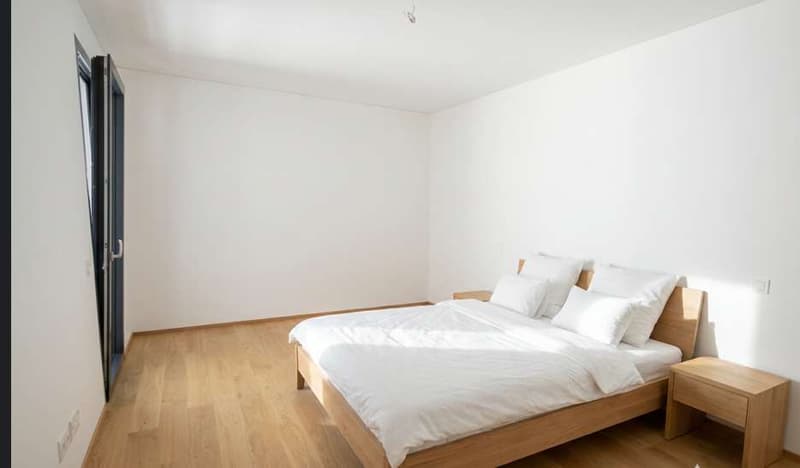 Vendesi appartamento in centro città 2.5 locali in edificio Moderno (4)