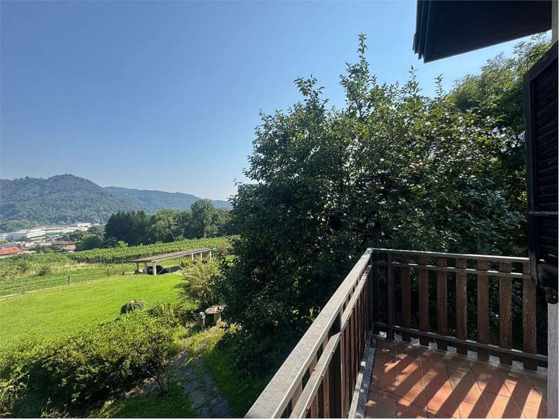 Affascinante villa da ristrutturare immersa nel verde a Novazzano (3)