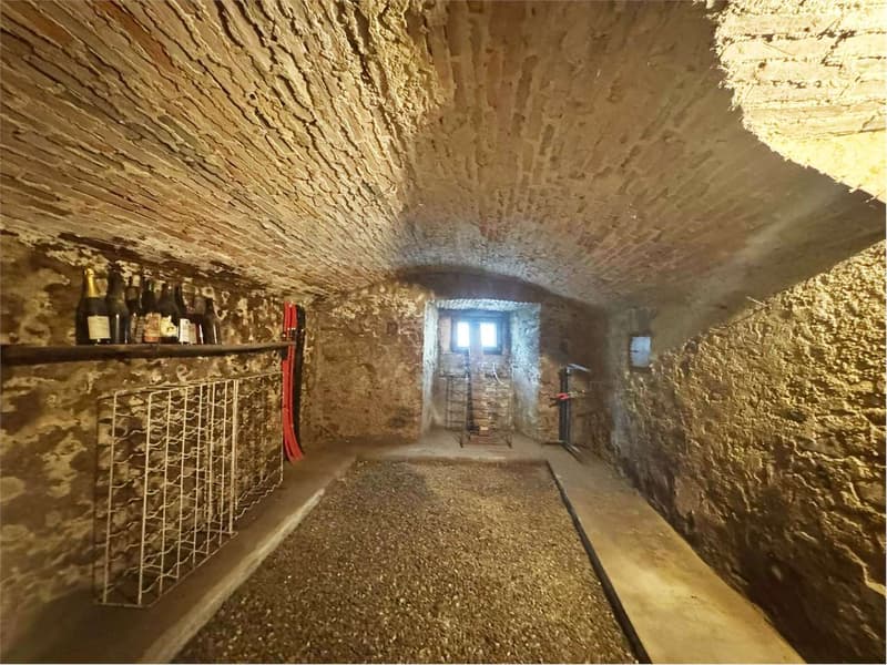 Affascinante villa da ristrutturare immersa nel verde a Novazzano (4)