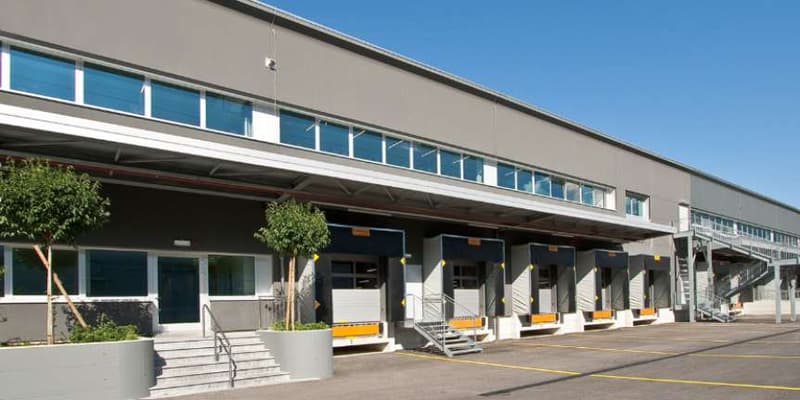 Sale of a large logistics/laboratory/production space - Contone (2)