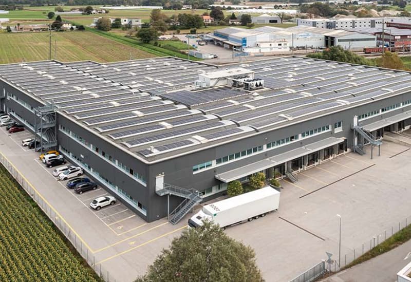 Sale of a large logistics/laboratory/production space - Contone (5)