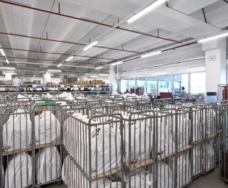 Sale of a large logistics/laboratory/production space - Contone (6)