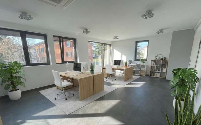 Office for sale - Massagno, central location (2)
