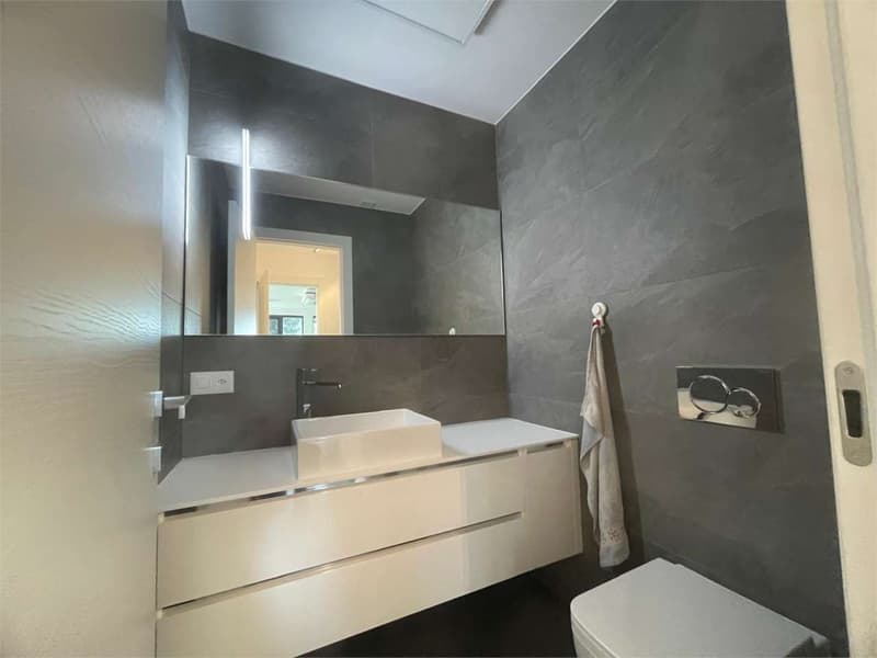 Office for sale - Massagno, central location (8)
