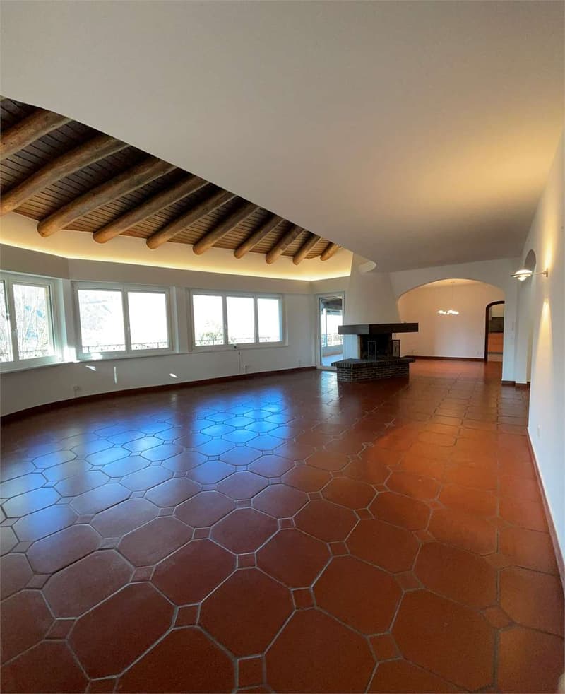 Exclusive Villa with Wellness Area and Open View in the Green of Vezia (7)