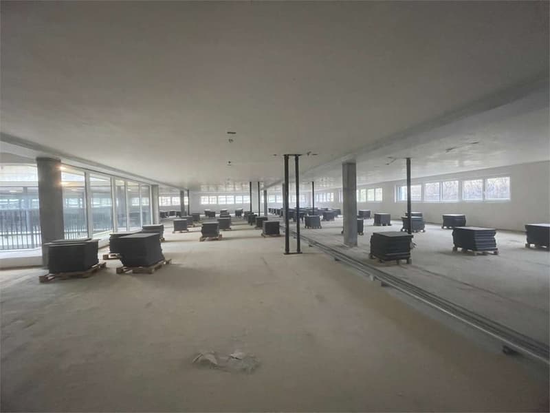 Magazzino/ufficio Open space  di oltre 1'400  mq in affitto a Vezia, N (5)