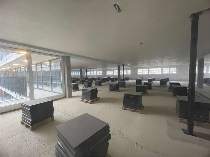 For Rent - New Administrative Space in Vezia (4)