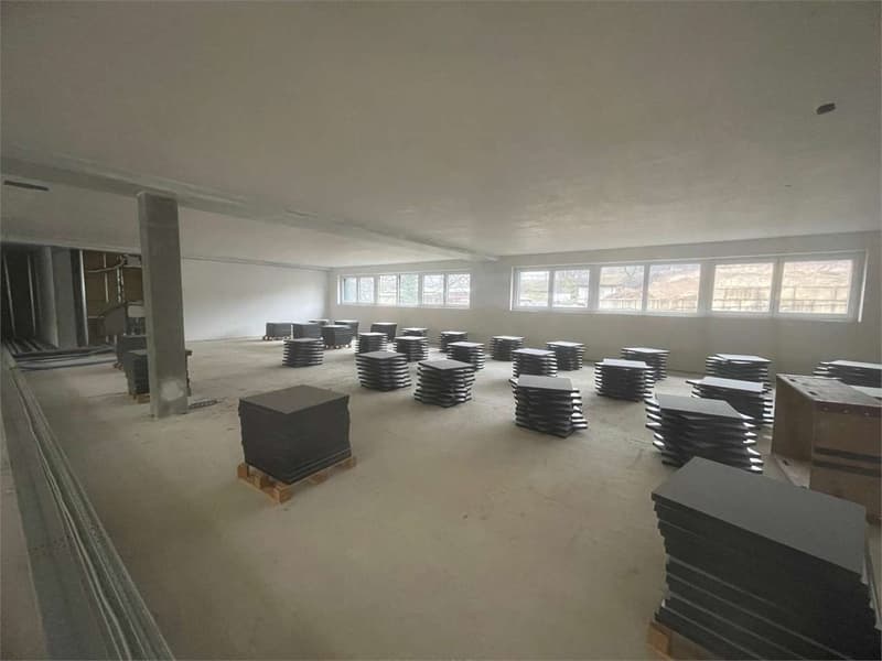 For Rent - New Administrative Space in Vezia (8)
