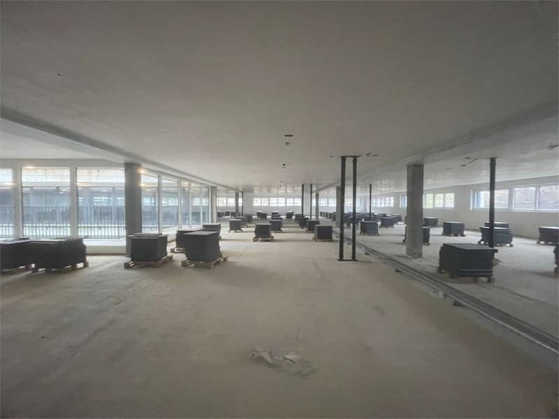Magazzino/ufficio Open space  di oltre 1'400  mq in affitto a Vezia, N (6)