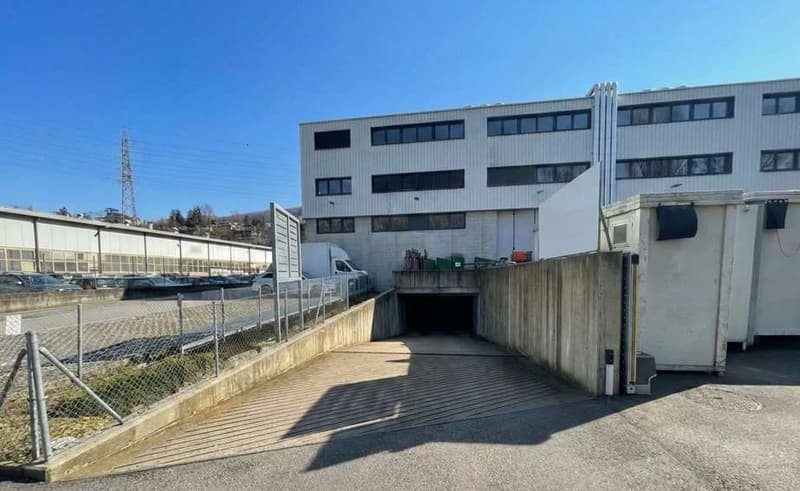 For Rent - New Administrative Space in Vezia (2)