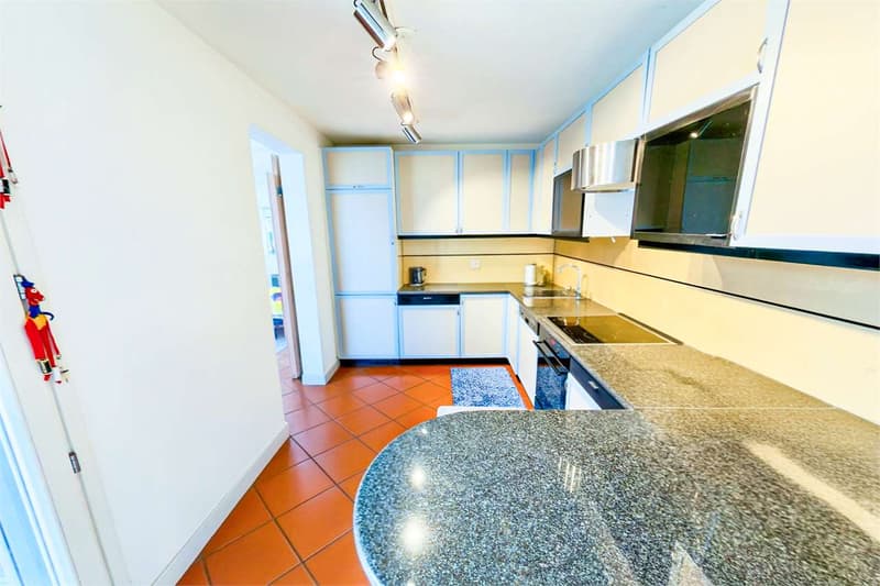 Luminieux penthouse avec double terrasse à Vacallo (5)