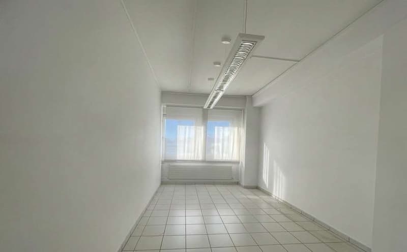 Affittasi spazio ufficio 4 locali - Manno (2)