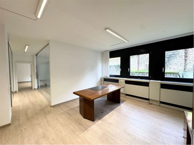 Büro in Lugano, 100 Meter zu Fuß vom Stadtzentrum (4)