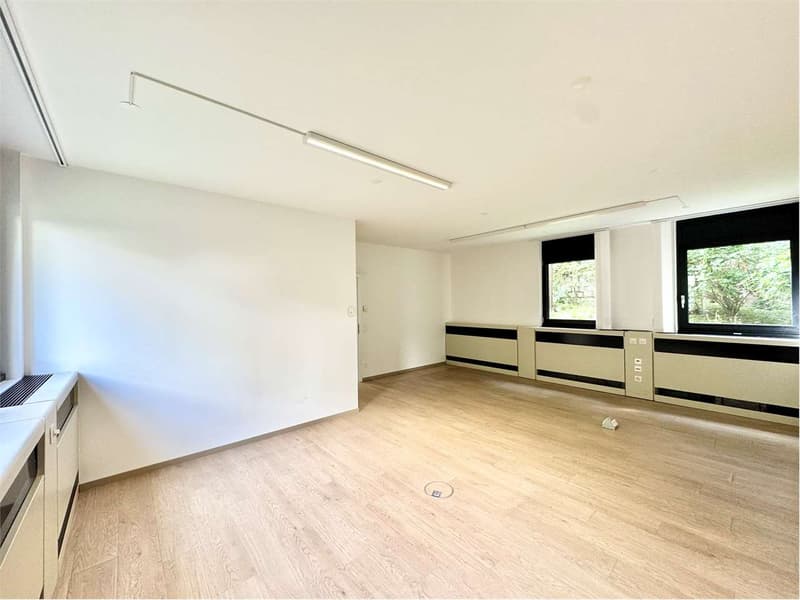 Büro in Lugano, 100 Meter zu Fuß vom Stadtzentrum (3)