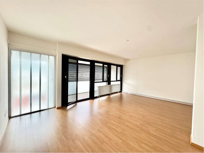 Spacious central attic office in Lugano, high-traffic area (2)
