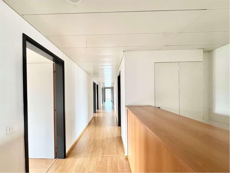 Spacious central attic office in Lugano, high-traffic area (3)