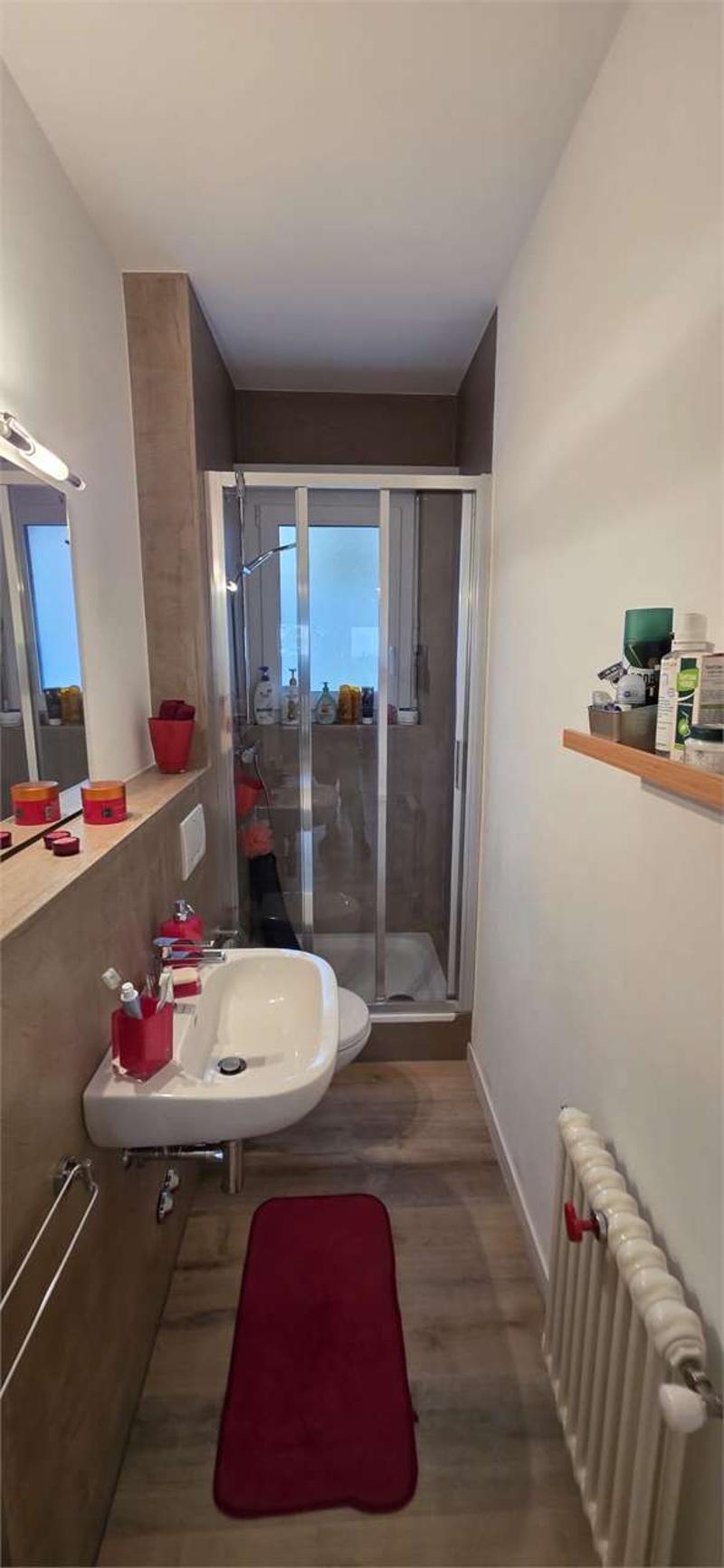 Helles 4.5-Zimmer-Apartment mit Terrasse - Castel San Pietro (8)