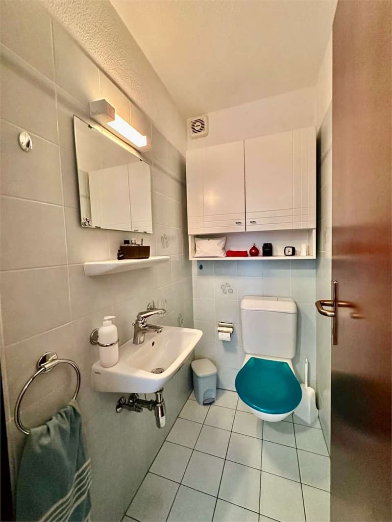 House in the green in Seseglio with splendid open view (12)