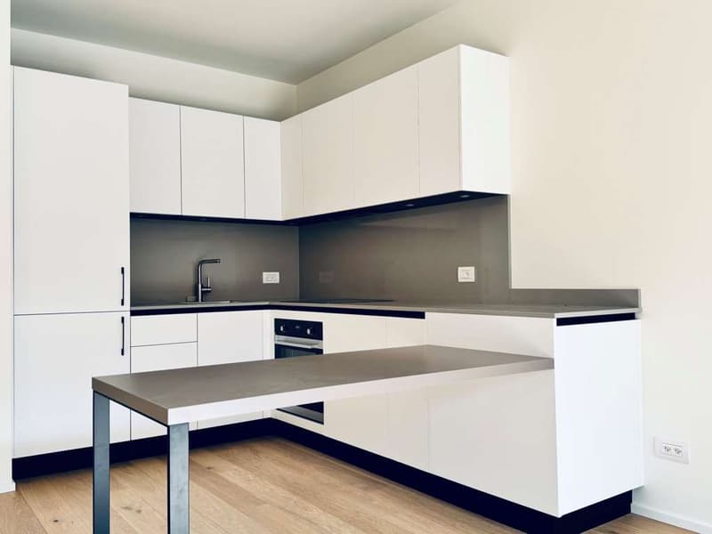 Neu und modernes 2.5-Zimmer-Wohnung mit Garten (2)