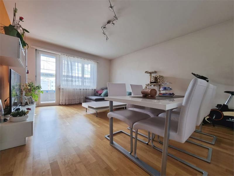 3.5-room apartment in Lugano Pregassona (1)