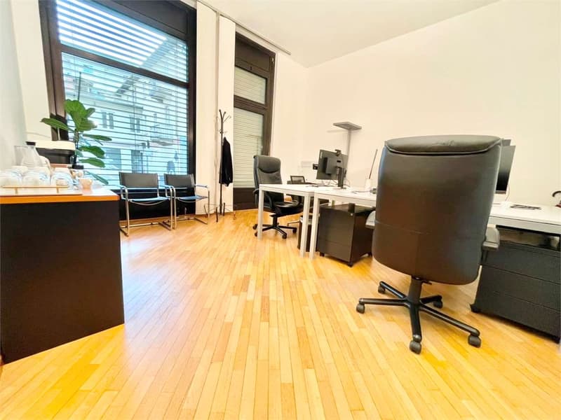 Offices within a Business Center in downtown Lugano (3)