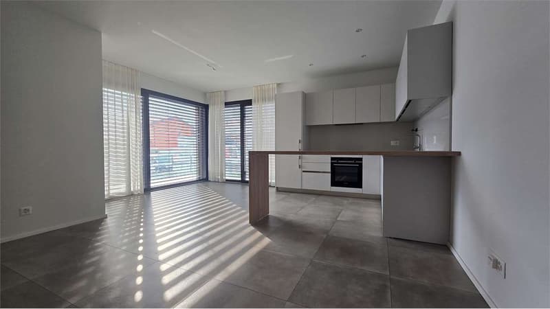 New 2.5-Room Apartment in Lugano (2)