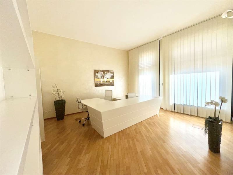 Office of 5 rooms in Lugano - center, two steps from the Elveti Institute (5)