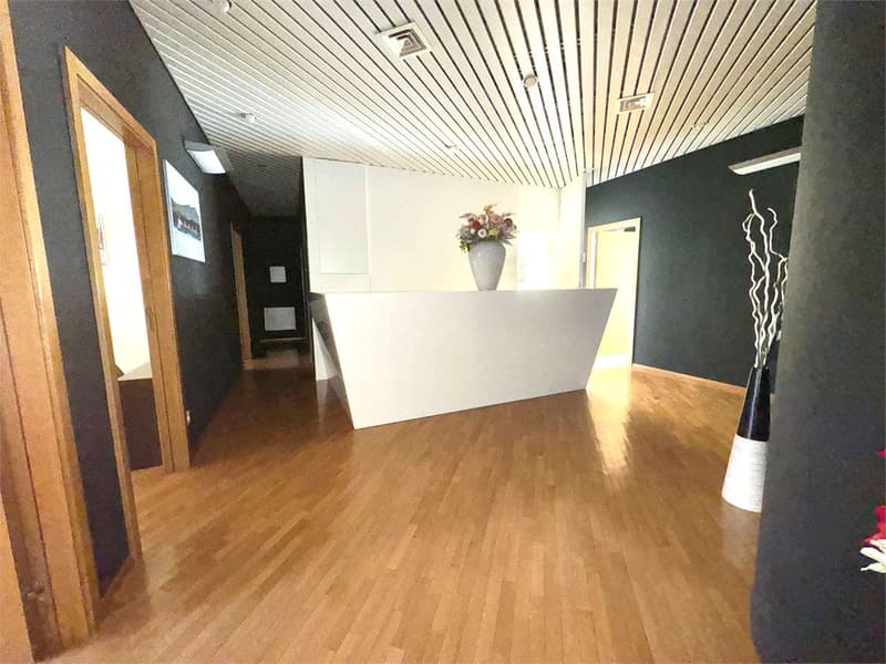 Office of 5 rooms in Lugano - center, two steps from the Elveti Institute (4)