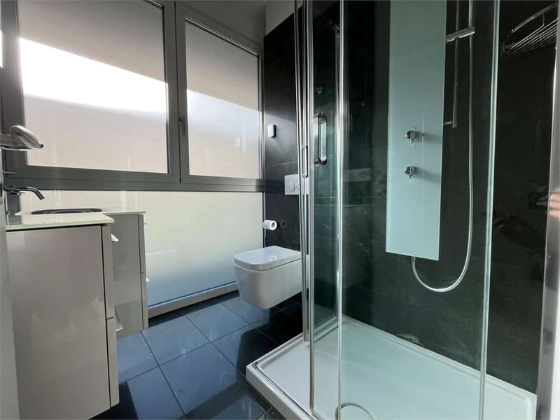 Appartement 3.5 pièces au centre de Lugano (4)