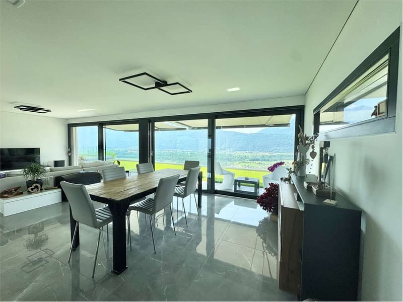 Moderna villa unifamiliare Minergie-P con impianto fotovoltaico e priv (7)