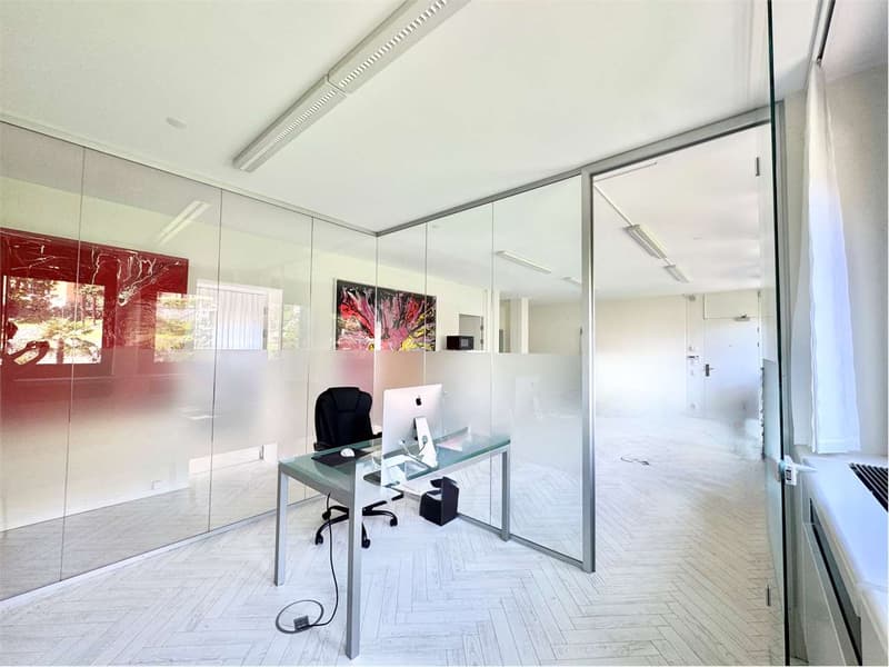 Bureau élégant et lumineux de 4,5 pièces, à quelques pas du centre de Lugano (5)