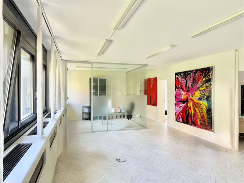 Bureau élégant et lumineux de 4,5 pièces, à quelques pas du centre de Lugano (2)