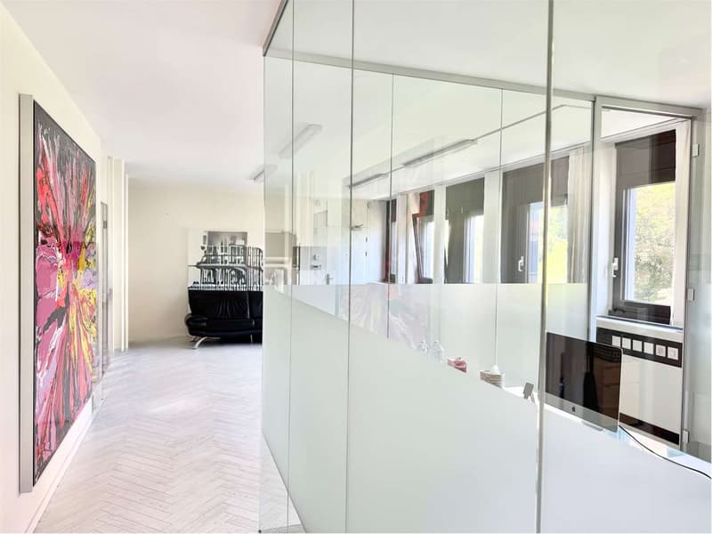 Bureau élégant et lumineux de 4,5 pièces, à quelques pas du centre de Lugano (3)
