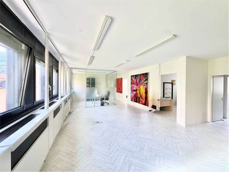 Bureau élégant et lumineux de 4,5 pièces, à quelques pas du centre de Lugano (1)