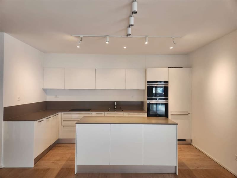 Elegant 3.5-room modern apartment with large terrace and double parking (4)