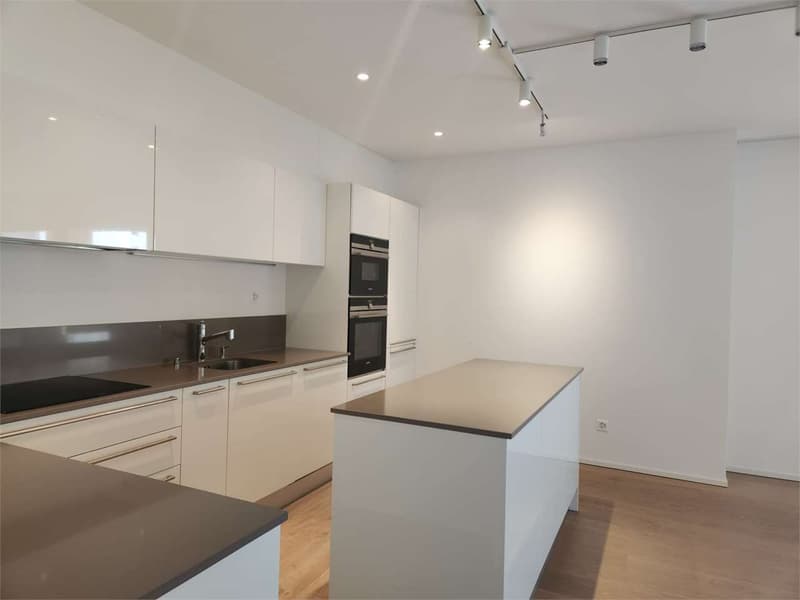 Elegant 3.5-room modern apartment with large terrace and double parking (3)