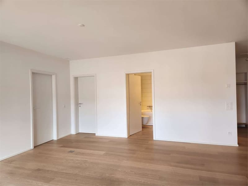 Elegant 3.5-room modern apartment with large terrace and double parking (13)