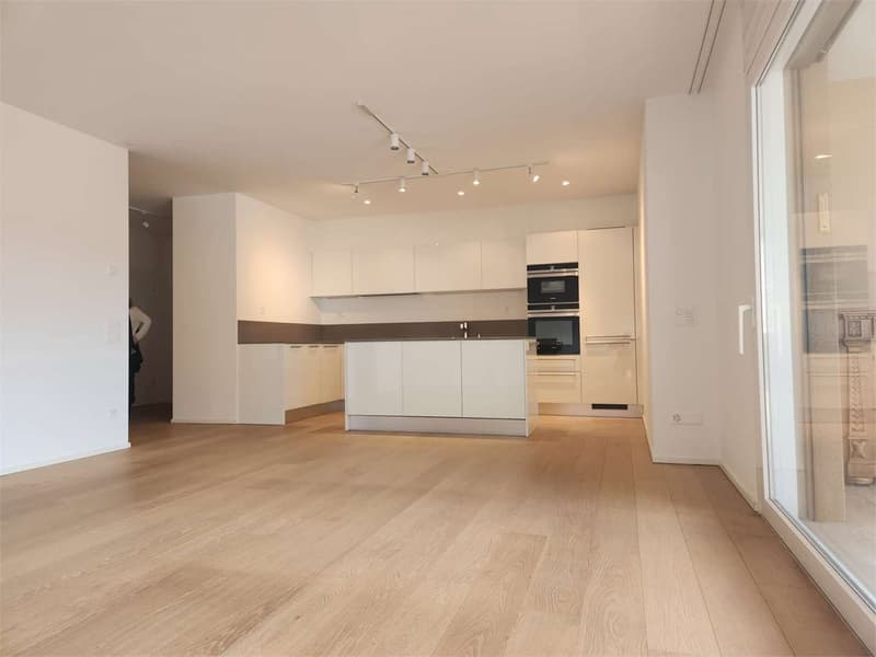 Elegant 3.5-room modern apartment with large terrace and double parking (5)