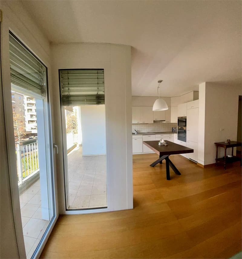 Spacious and bright 2.5-room apartment with large terrace (3)